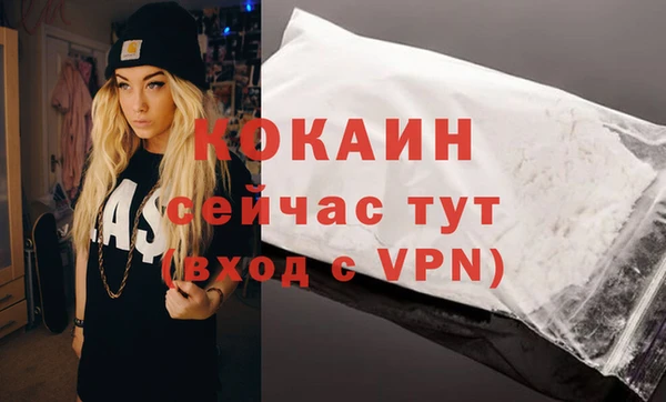 PSILOCYBIN Анжеро-Судженск
