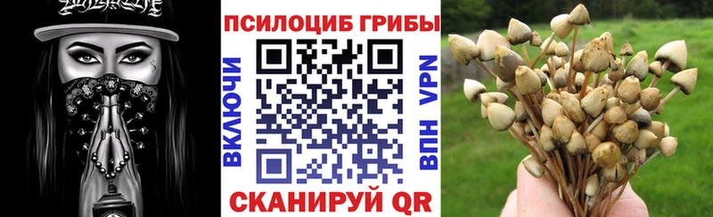 сколько стоит  OMG tor  Псилоцибиновые грибы мицелий  Ревда 